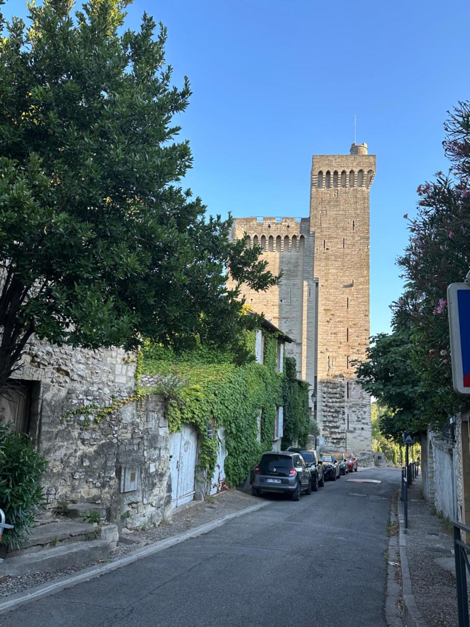 Charmante Petite Maison Avec Vue Panoramique, En Centre Historique, Proche D'Avignon, Ancienne, Renovee, Climatisee, Terrasse, Parking Public Gratuit Villeneuve-lès-Avignon 외부 사진
